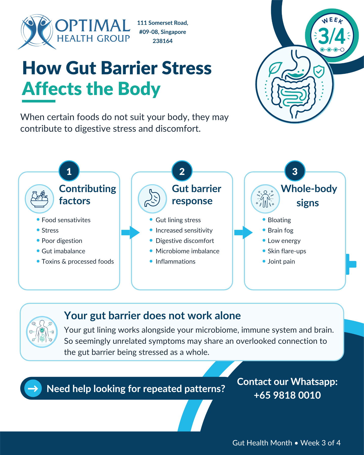 How Gut Barrier Stress May Affect the Body