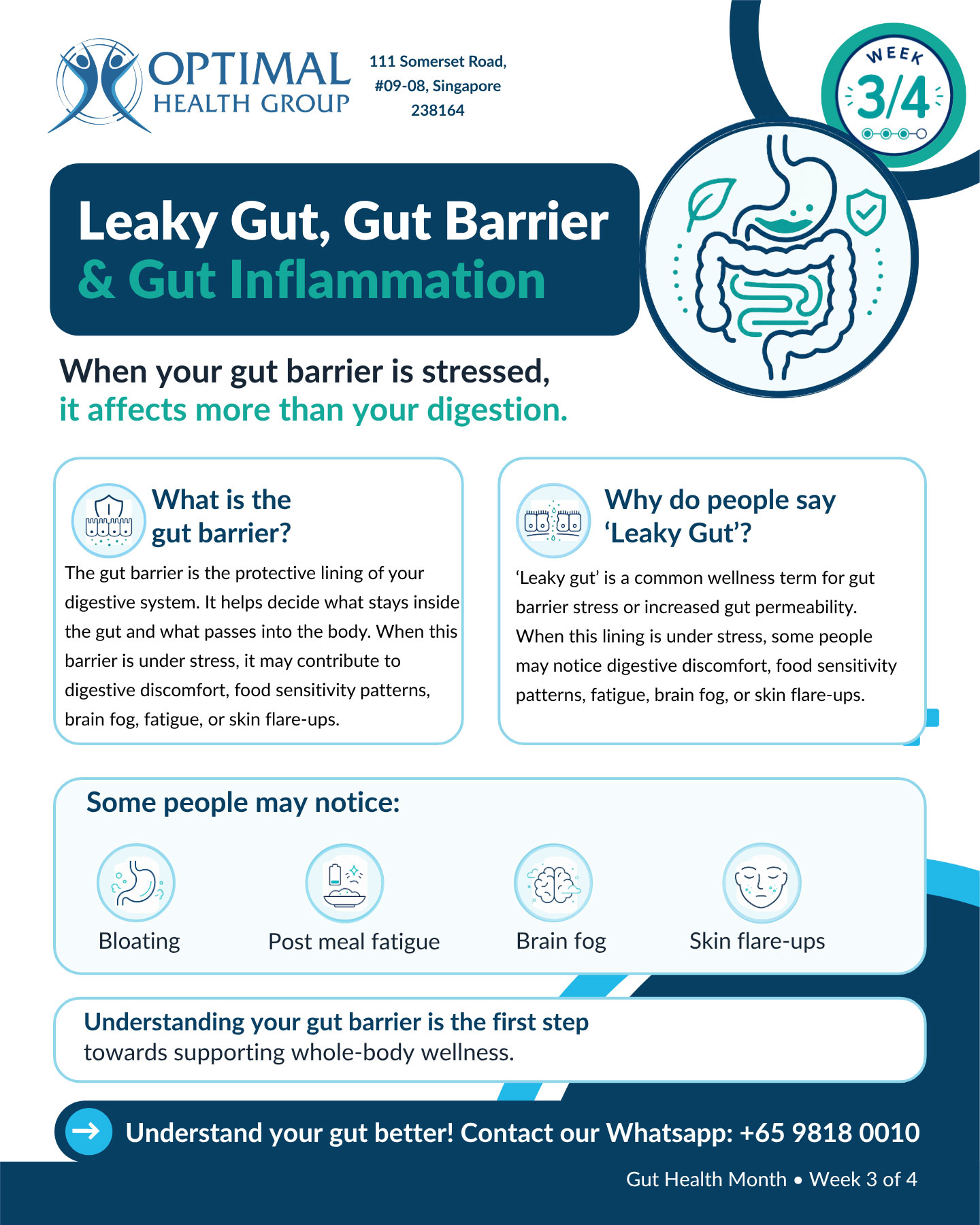 What Is the Gut Barrier?