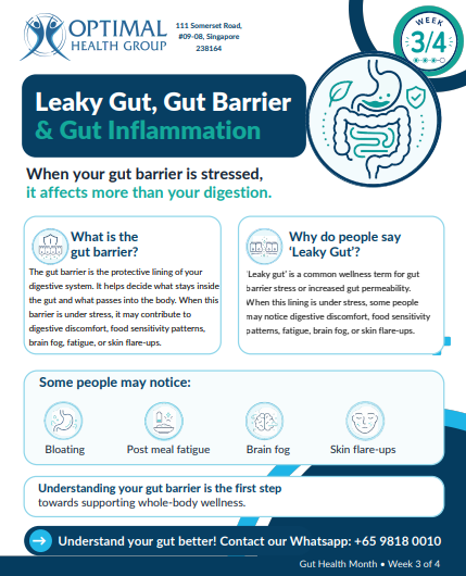 What Is the Gut Barrier?