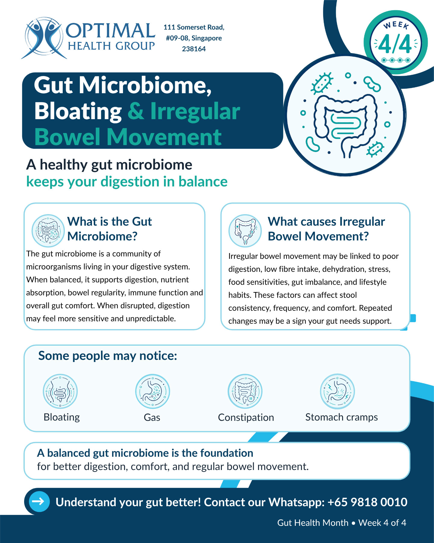 Infographic illustrating the gut microbiome, bloating, and irregular bowel movements.